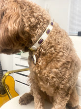 Load image into Gallery viewer, Amethyst Collar