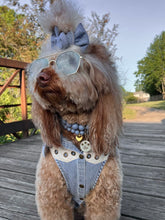 Load image into Gallery viewer, United with bronze star detail