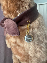 Load image into Gallery viewer, Velvet Sable & Brocade Print Nodo Pet Neckerchief