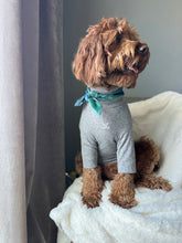 Load image into Gallery viewer, Nodo Neckerchief in Velvet Pine/Navy Tartan