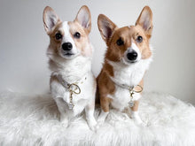 Load image into Gallery viewer, Little Boo