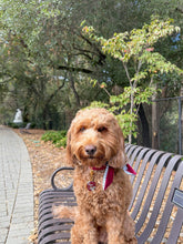 Load image into Gallery viewer, Nodo Neckerchief in Merlot/Grey Houndstooth