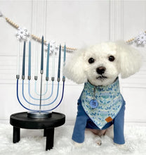 Load image into Gallery viewer, Ahava "Love"