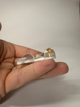 Load image into Gallery viewer, Harmony Aura Bear