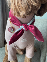 Load image into Gallery viewer, Gleam & Gather Squirrel ID tag