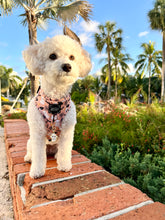 Load image into Gallery viewer, Little Boo