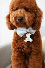 Load image into Gallery viewer, Serenity Aura Bear