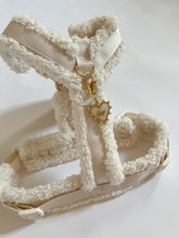 Load image into Gallery viewer, Express Yourself-Cloud Edit