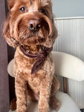 Load image into Gallery viewer, Velvet Sable & Brocade Print Nodo Pet Neckerchief