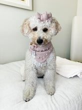 Load image into Gallery viewer, All Tied Up