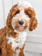 Load image into Gallery viewer, Jade Collar