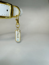 Load image into Gallery viewer, Set the Bar Every Day Dog Tag