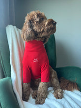 Load image into Gallery viewer, Signature Tee in Red