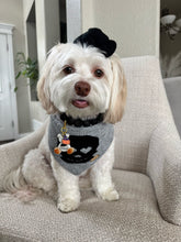 Load image into Gallery viewer, Ignite Aura Bear