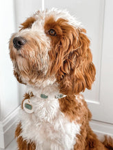 Load image into Gallery viewer, Jade Collar