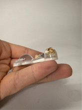 Load image into Gallery viewer, Harmony Aura Bear