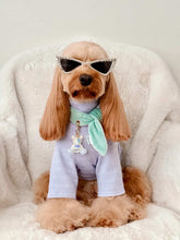 Load image into Gallery viewer, Tranquility Aura Bear