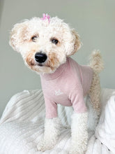 Load image into Gallery viewer, Ruff Gems Signature Tee in Rose Quartz