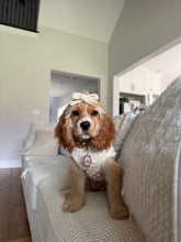 Load image into Gallery viewer, Alouette