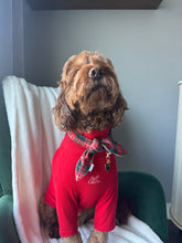 Load image into Gallery viewer, Foglia - Holiday Edit