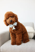 Load image into Gallery viewer, Serenity Aura Bear