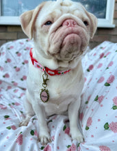 Load image into Gallery viewer, Alouette