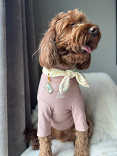 Load image into Gallery viewer, Together, Always Nodo Pet Neckerchief Vday26