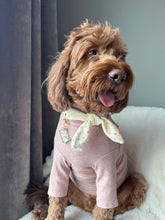 Load image into Gallery viewer, Together, Always Nodo Pet Neckerchief Vday26