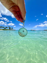 Load image into Gallery viewer, Shoreline