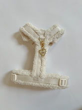 Load image into Gallery viewer, Express Yourself-Cloud Edit