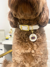 Load image into Gallery viewer, Amethyst Collar