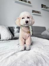 Load image into Gallery viewer, Heartbeat {Bound by Love Edit}