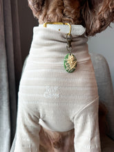 Load image into Gallery viewer, Ruff Gems Signature Tee in Sandstone