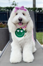 Load image into Gallery viewer, Happy Place- Micropave Smile Tag