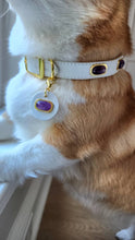 Load image into Gallery viewer, Amethyst Collar