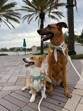 Load image into Gallery viewer, Nodo Neckerchief in Celadon Green/Lavendar Stripe