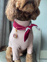 Load image into Gallery viewer, Gleam & Gather Squirrel ID tag