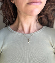 Load image into Gallery viewer, Bone Necklace