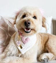 Load image into Gallery viewer, Heart Cascade