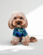 Load image into Gallery viewer, September (Sapphire)