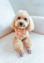 Load image into Gallery viewer, Shoreline