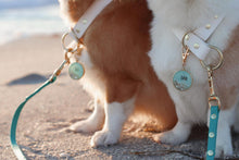 Load image into Gallery viewer, Shoreline