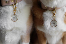 Load image into Gallery viewer, Luxe Lucid Cascade Clear Cubic Zirconia