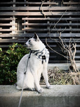 Load image into Gallery viewer, Radiance