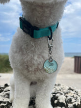 Load image into Gallery viewer, Shoreline