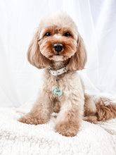 Load image into Gallery viewer, Shoreline