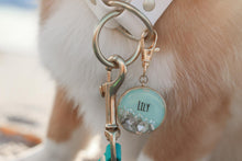 Load image into Gallery viewer, Shoreline