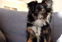 Load image into Gallery viewer, Fern Peridot Gemstone & Cultured Pearl