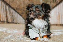 Load image into Gallery viewer, Fern Peridot Gemstone & Cultured Pearl