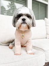 Load image into Gallery viewer, Shroom Pendant